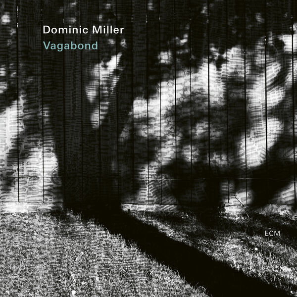 Dominic Miller - Vagabond (2023) [FLAC 24bit/88,2kHz] Download