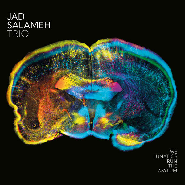 Jad Salameh Trio – We Lunatics Run the Asylum (2023) [FLAC 24bit/88,2kHz]