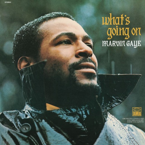 Marvin Gaye – What’s Going On (1971/2012) [FLAC 24 bit, 192 kHz]