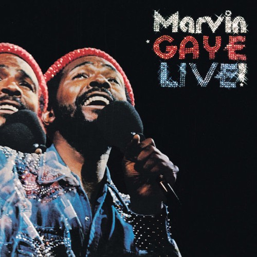 Marvin Gaye – Marvin Gaye Live! (1974/2021) [FLAC 24 bit, 192 kHz]