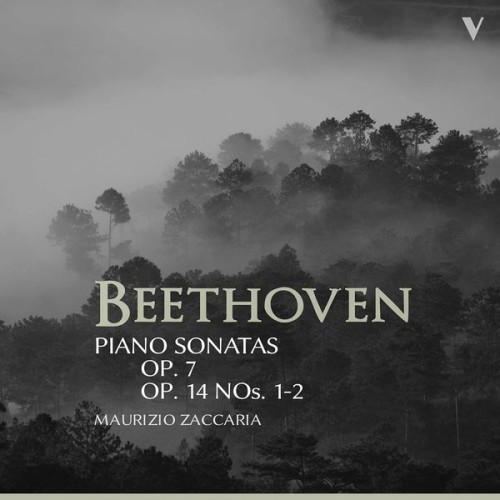 Maurizio Zaccaria – Beethoven: Piano Sonatas Nos. 4, 9 & 10 (2021) [FLAC 24 bit, 88,2 kHz]