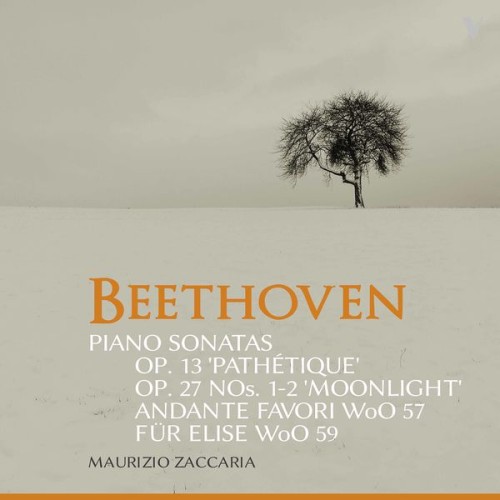 Maurizio Zaccaria – Beethoven: Piano Sonatas, Opp. 13 & 27 & Other Works (2020) [FLAC 24 bit, 88,2 kHz]