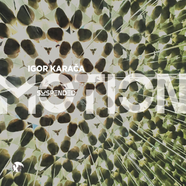 Various Artists - Suspended Montion, Music of Igor Karača (2023) [FLAC 24bit/96kHz] Download