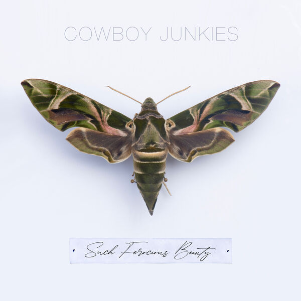 Cowboy Junkies - Such Ferocious Beauty (2023) [FLAC 24bit/44,1kHz]