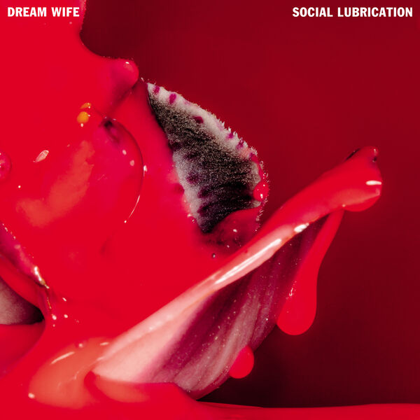 Dream Wife – Social Lubrication (2023) [FLAC 24bit/44,1kHz]