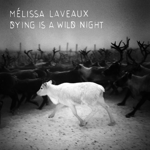 Melissa Laveaux – Dying Is a Wild Night (2013) [Official Digital Download 24bit/44,1kHz]