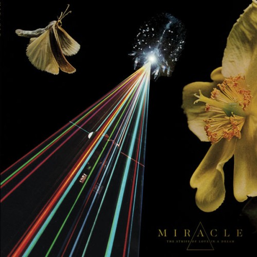 Miracle – The Strife of Love in a Dream (2018) [FLAC 24 bit, 96 kHz]