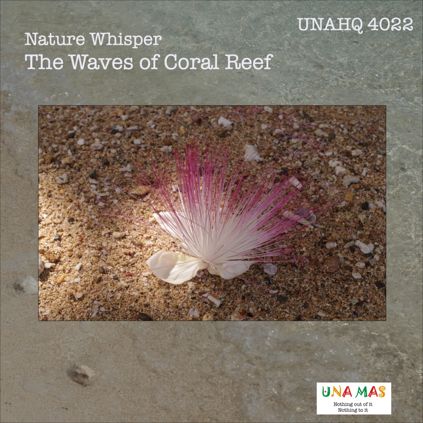 Mick Sawaguchi - Nature Whisper: The Waves of Coral Reef (2023) [FLAC 24bit/96kHz]