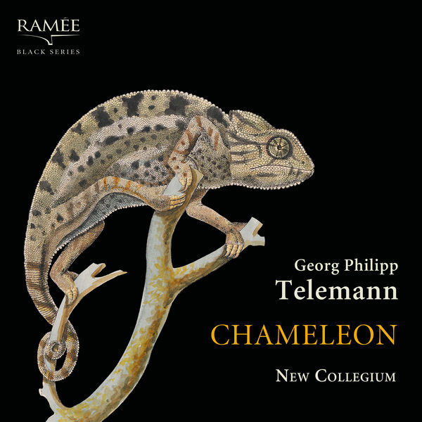 New Collegium – Telemann: Chameleon (2019) [Official Digital Download 24bit/96kHz]