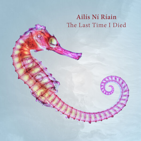 Various Artists - Ailís Ní Ríain: The Last Time I Died (2023) [FLAC 24bit/44,1kHz] Download