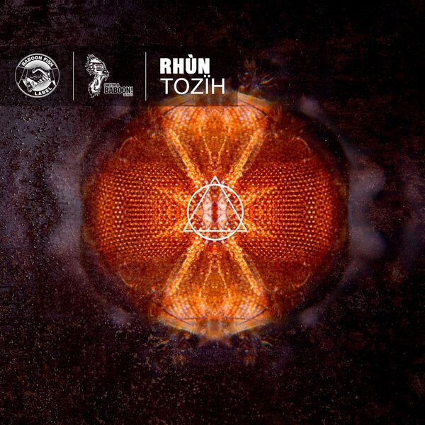 Rhùn – Tozïh (2023) [Official Digital Download 24bit/44,1kHz]