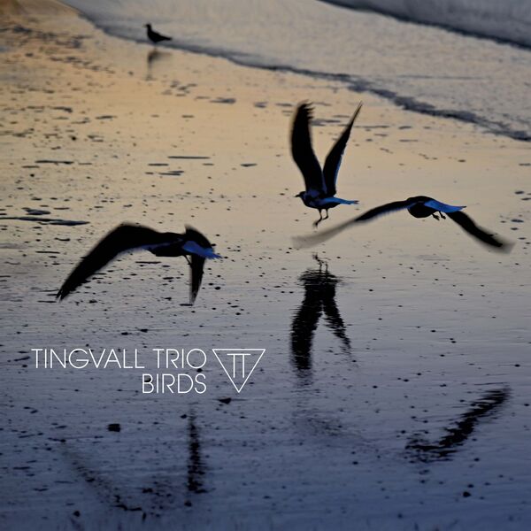 Tingvall Trio – Birds (2023) [Official Digital Download 24bit/96kHz]