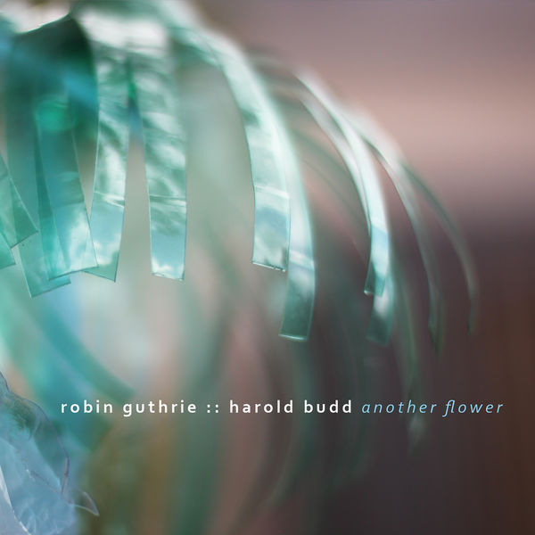 Robin Guthrie, Harold Budd – Another Flower (2020) [Official Digital Download 24bit/44,1kHz]
