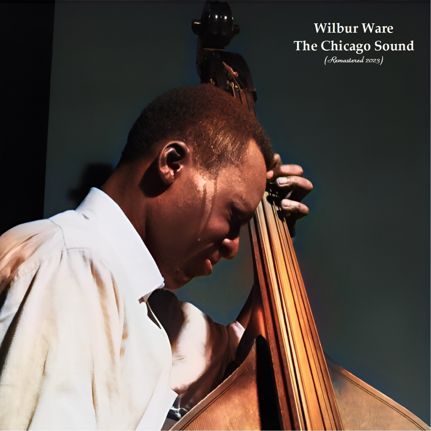 Wilbur Ware - The Chicago Sound (High Definition Remaster 2023) (1957/2023) [FLAC 24bit/44,1kHz] Download