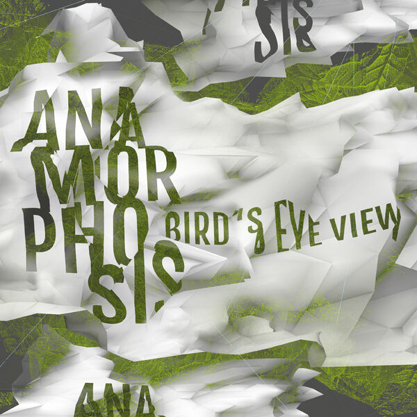 Anamorphosis – Bird’s Eye View (2023) [FLAC 24bit/44,1kHz]