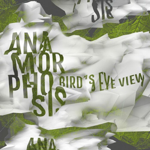 Anamorphosis - Bird's Eye View (2023) Download