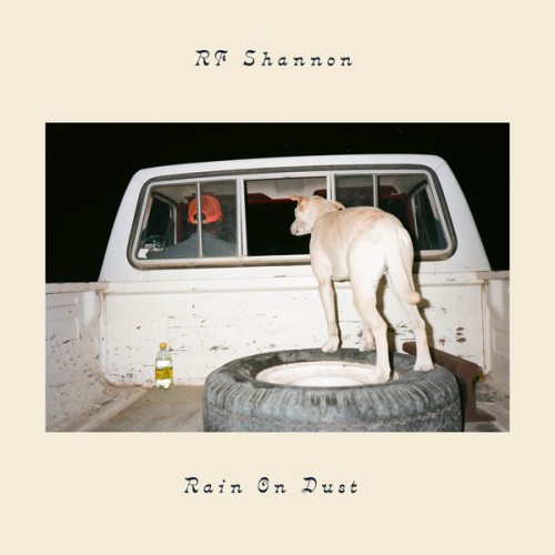 RF Shannon – Rain On Dust (2019) [FLAC 24 bit, 96 kHz]