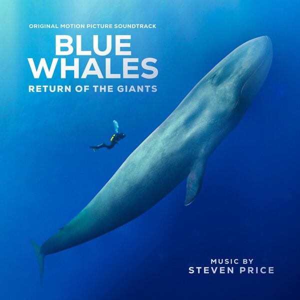 Steven Price – Blue Whales – Return of the Giants (Original Motion Picture Soundtrack) (2023) [Official Digital Download 24bit/48kHz]