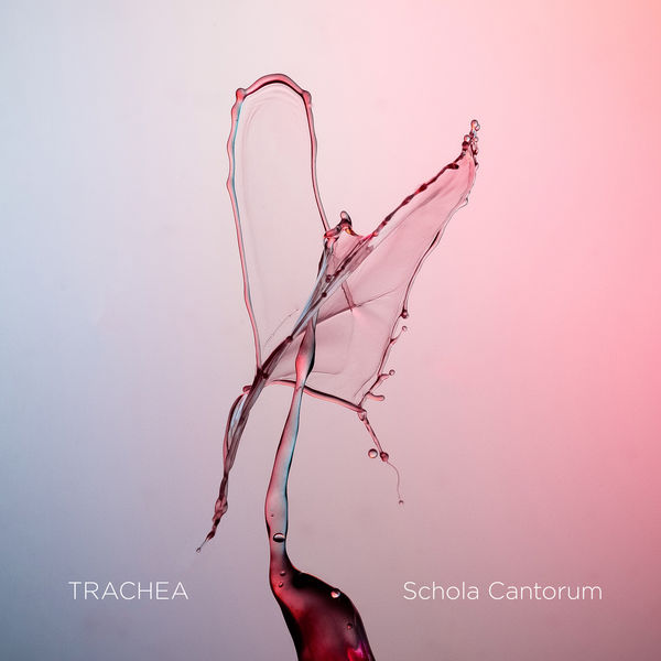 Schola Cantorum & Tone Bianca Sparre Dahl – Trachea (2019) [Official Digital Download 24bit/176,4kHz]