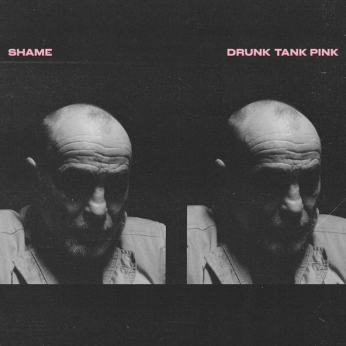 Shame – Drunk Tank Pink (2021) [FLAC 24 bit, 44,1 kHz]