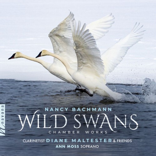 Diane Maltester – Wild Swans: Nancy Bachmann Chamber Works (2023) [FLAC 24 bit, 96 kHz]