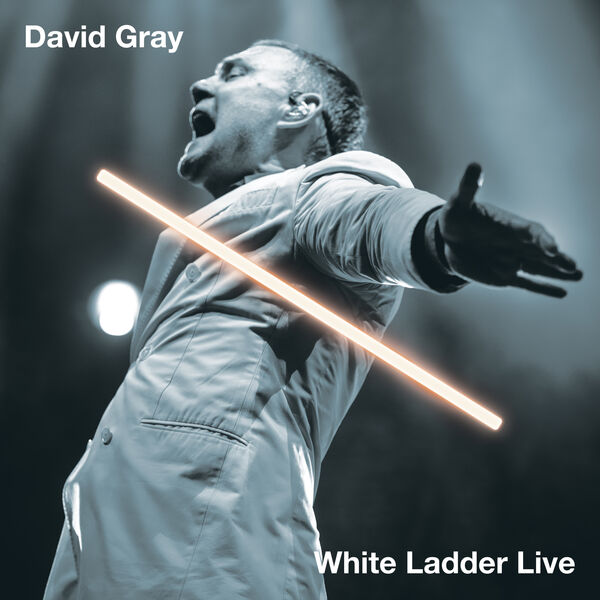 David Gray - White Ladder Live (2023) [FLAC 24bit/96kHz]