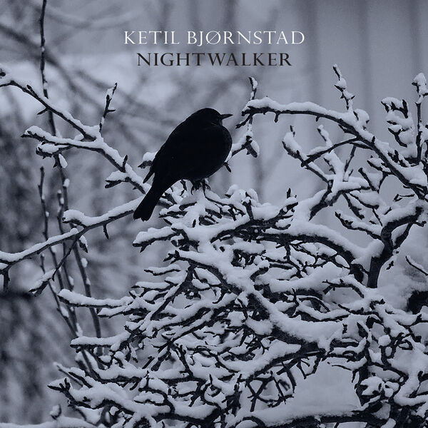 Ketil Bjørnstad – Nightwalker (2023) [Official Digital Download 24bit/48kHz]
