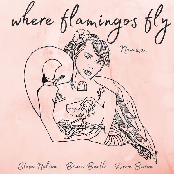 Naama - Where Flamingos Fly (2023) [FLAC 24bit/96kHz] Download
