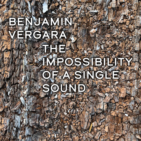 Benjamín Vergara - The Impossibility of a Single Sound (2023) [FLAC 24bit/44,1kHz] Download