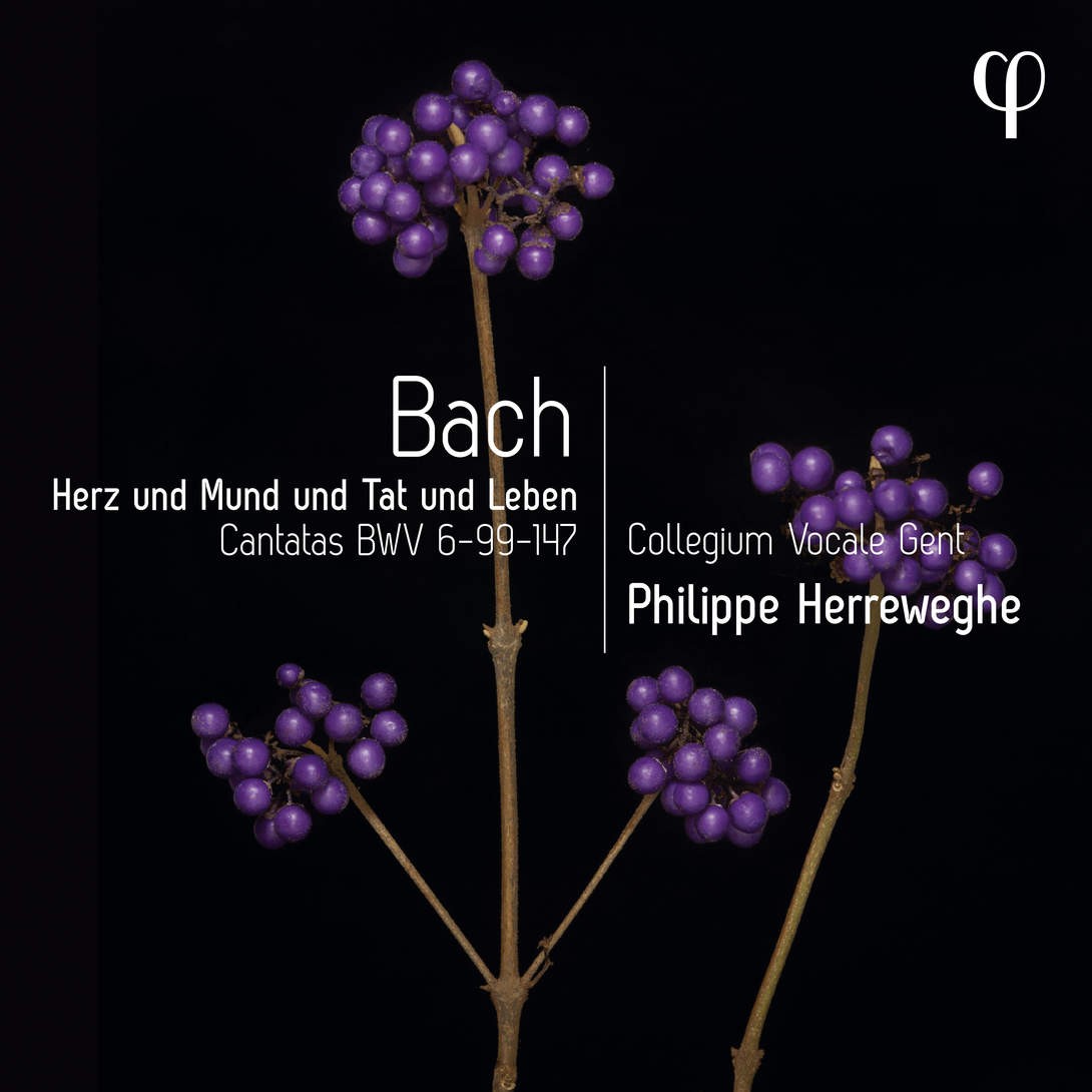 Collegium Vocale Gent, Philippe Herreweghe - Herz und Mund und Tat und Leben - Bach: Cantatas BWV 6-99-147 (2023) [FLAC 24bit/96kHz]