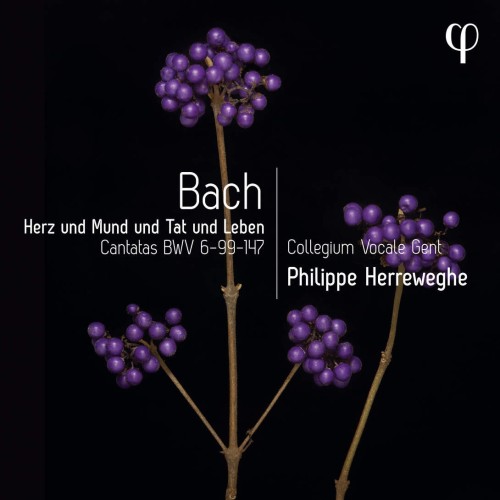 Collegium Vocale Gent, Philippe Herreweghe – Herz und Mund und Tat und Leben – Bach: Cantatas BWV 6-99-147 (2023) [FLAC 24 bit, 96 kHz]