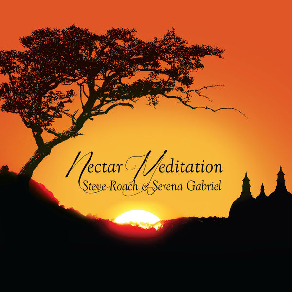 Steve Roach – Nectar Meditation (2020) [Official Digital Download 24bit/96kHz]