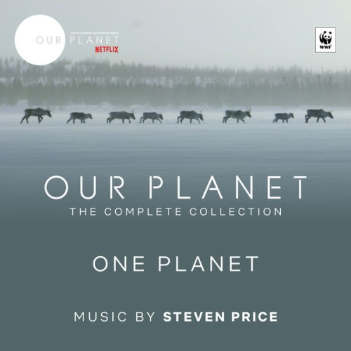 Steven Price – One Planet (Episode 1 / Soundtrack From The Netflix Original Series “Our Planet”) (2019) [FLAC 24 bit, 48 kHz]