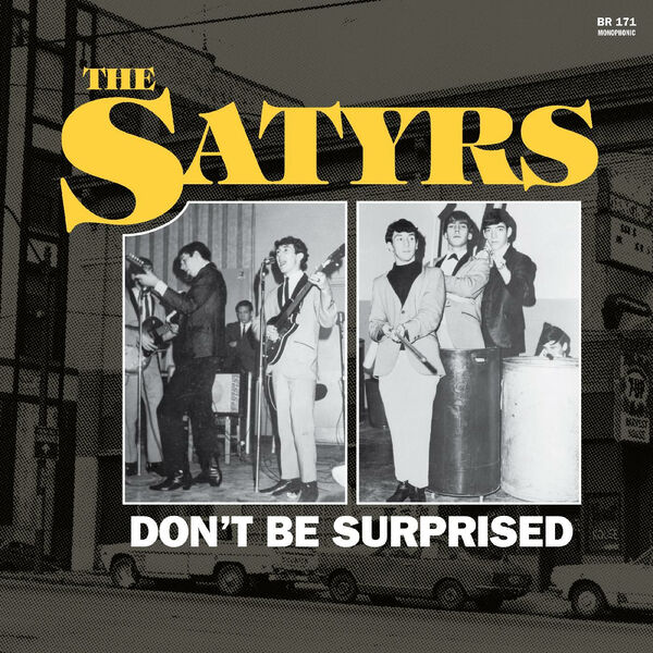 The Satyrs – Don’t Be Surprised (2023) [FLAC 24bit/44,1kHz]