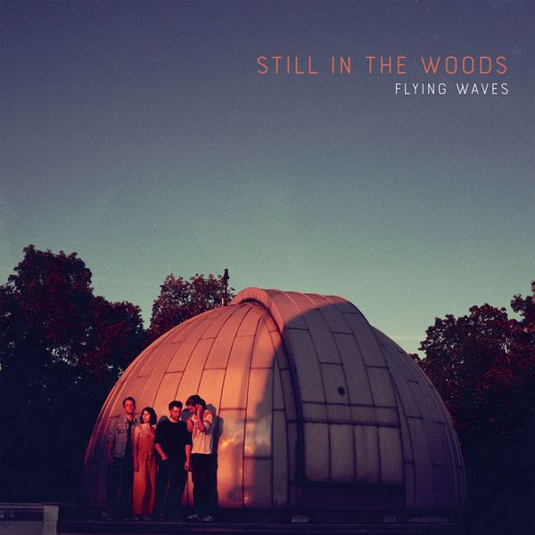 Still in the Woods – Flying Waves (2019) [Official Digital Download 24bit/96kHz]