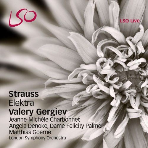 London Symphony Orchestra, Valery Gergiev – Strauss: Elektra (2010) [FLAC 24 bit, 96 kHz]
