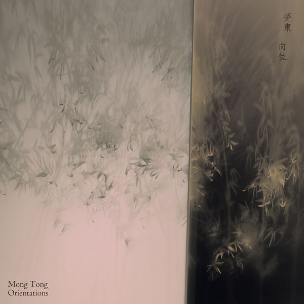 Mong Tong – Orientations (2021) [Official Digital Download 24bit/48kHz]