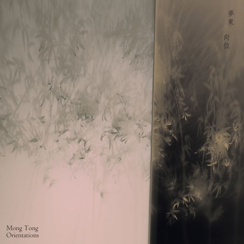 Mong Tong – Orientations (2021) [FLAC 24 bit, 48 kHz]