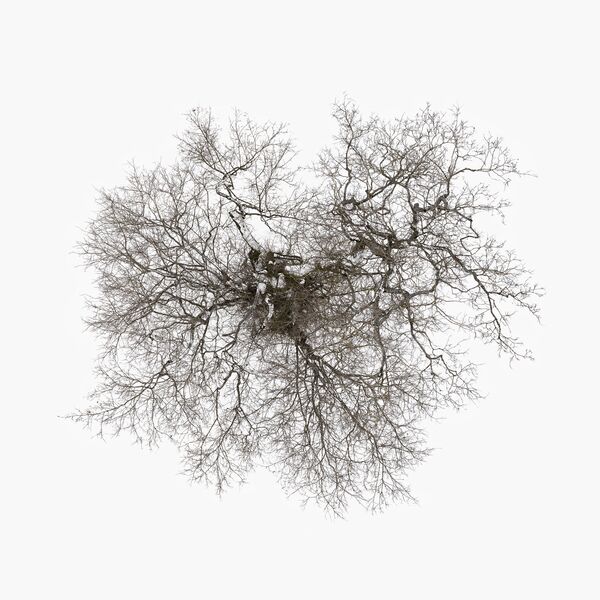 John Metcalfe - Tree (2023) [FLAC 24bit/96kHz] Download