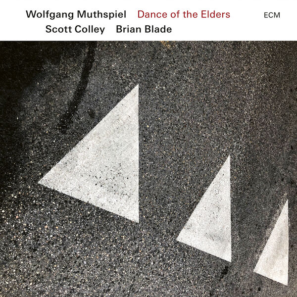 Wolfgang Muthspiel, Scott Colley, Brian Blade - Dance of the Elders (2023) [FLAC 24bit/96kHz] Download