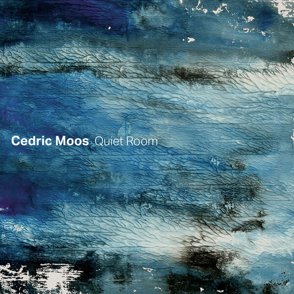 Cedric Moos - Quiet Room (2023) [FLAC 24bit/96kHz] Download