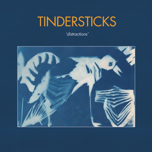 Tindersticks – Distractions (2021) [FLAC 24 bit, 96 kHz]