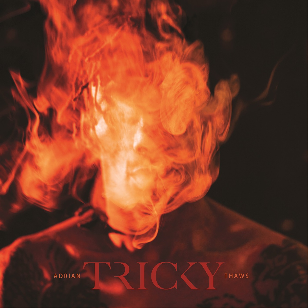 Tricky – Adrian Thaws (2014) [Official Digital Download 24bit/44,1kHz]