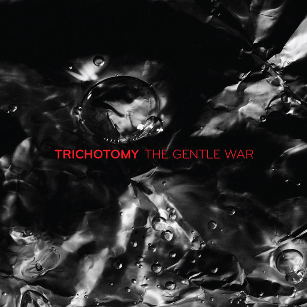 Trichotomy – The Gentle War (2011) [Official Digital Download 24bit/88,2kHz]