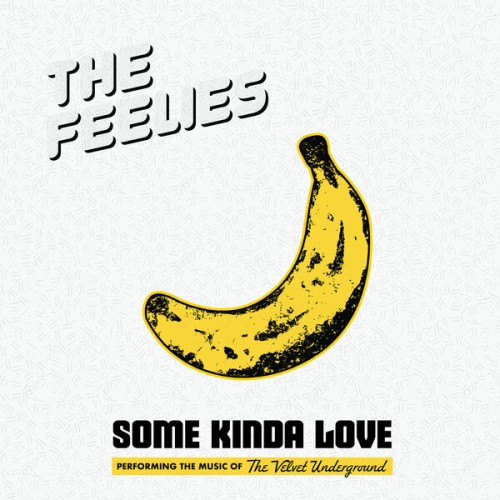 The Feelies – Some Kinda Love: Performing The Music Of The Velvet Underground (2023) [FLAC 24 bit, 48 kHz]