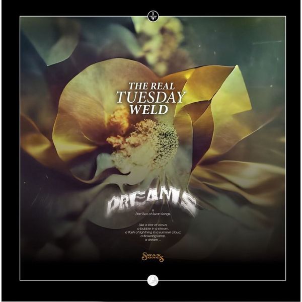The Real Tuesday Weld - Dreams (2023) [FLAC 24bit/44,1kHz] Download