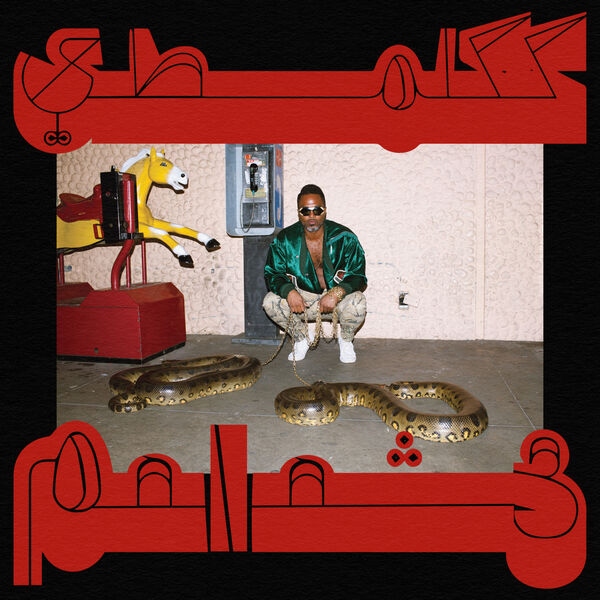 Shabazz Palaces - Robed in Rareness (2023) [FLAC 24bit/96kHz] Download