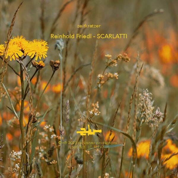 Zeitkratzer - Friedl: Scarlatti (2023) [FLAC 24bit/44,1kHz] Download