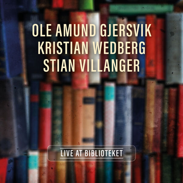 Ole Amund Gjersvik - Live At Biblioteket (2023) [FLAC 24bit/44,1kHz] Download