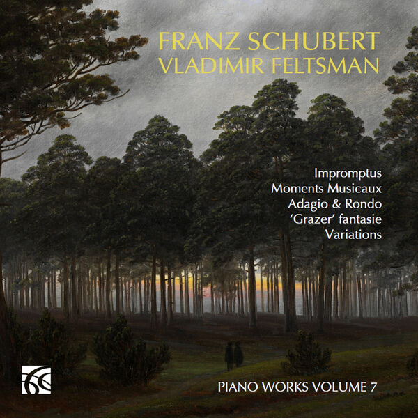 Vladimir Feltsman - Schubert: Piano Works, Vol. 7 (2024) [FLAC 24bit/96kHz]
